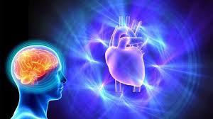 GINKGO BILOBA Y OMEGA